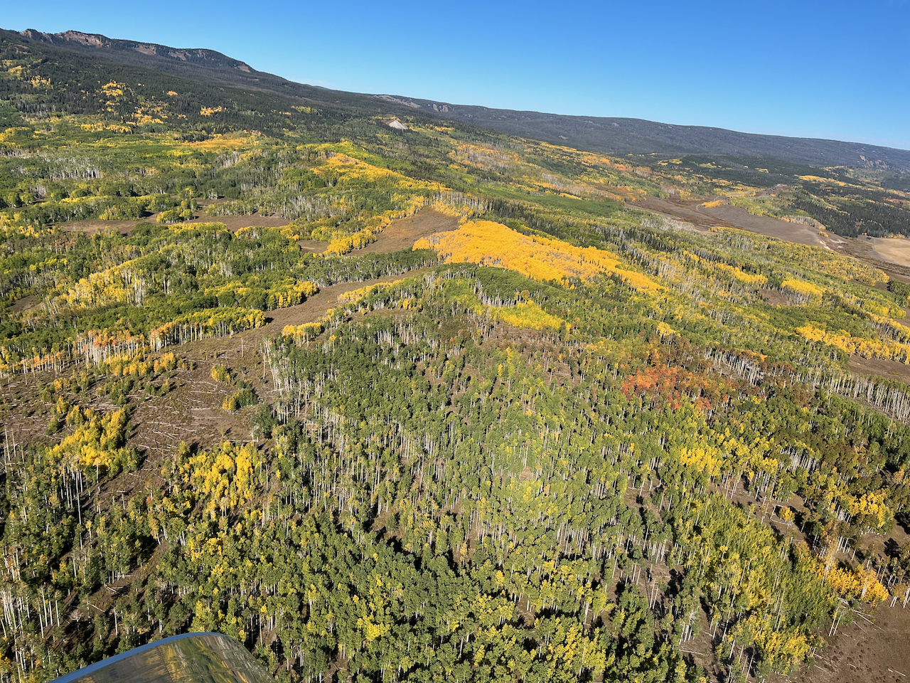 Colourful Colorado - 1.jpeg