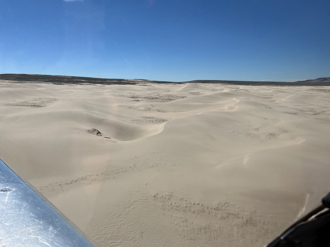 the dunes - 1 (1).jpeg