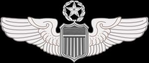 Click image for larger version\r\n\r\nName:	command pilot wings.jpg\r\nViews:	71\r\nSize:	7.9 KB\r\nID:	30419