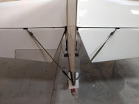 IMG_20200830_163601956.jpg