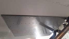 belly isolation right view.jpg