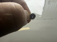 IMG_0896.jpeg