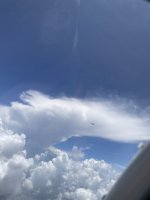 IMG_2359.jpg