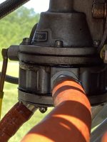 IMG_8181.jpeg
