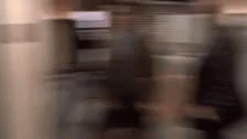 IMG_4197.gif