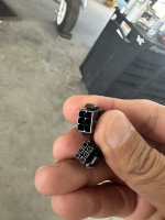 IMG_2082.jpeg