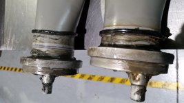 20180415_183109.jpg