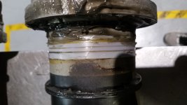 20180415_183355.jpg