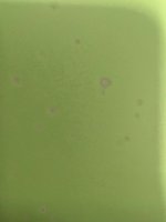 Bad Prime closeup.jpg