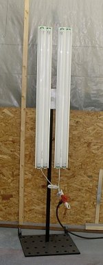 Glare Light2.jpg