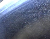 IMG_0008.JPG