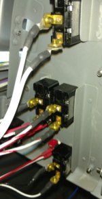 Switches.jpg