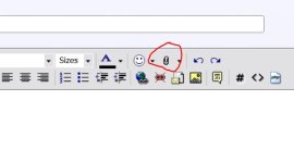 paperclip.JPG paperclip.JPG