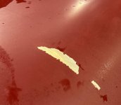 Peel.jpg