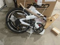 image6.jpeg