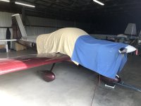 IMG_4649.jpg