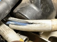IMG_3361.jpg