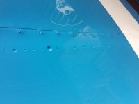 IMG00038-20090805-1451.JPG