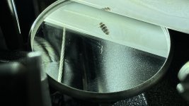 IMG_4952.jpg