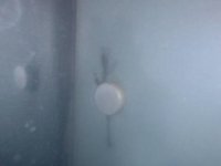 C13118C8-2D2B-4140-BA43-CD6ACCBBADA4.jpeg