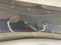 IMG_5965.jpg