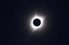 DSC_0365 (1)rs.jpg