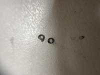D5A26B4A-C42C-4AC2-86C7-23E79A199E1F.jpg