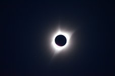 DSC_0347r.jpg