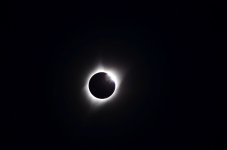 DSC_0375r.jpg