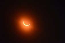 DSC_0336r.jpg