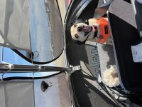 IMG_2546.JPEG
