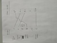 IMG_20230824_152623.jpg