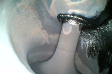 N2 Exhaust  copy.jpg