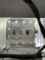IMG_0378.jpeg