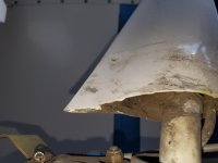 20201210_130934.jpg