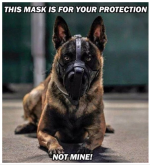 Maligator in Muzzle.png