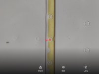 IMG_1398.jpeg