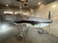 Fuse Painting Gray Stripe.jpg