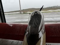 IMG_0499.jpeg