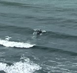 IMG_9010.jpeg