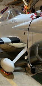 IMG_4832.jpeg