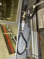 IMG_8234.jpeg