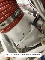 Closeup.jpg