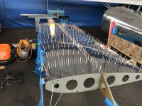 IMG_2772.jpeg