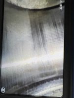 IMG_8137.jpeg