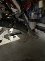 IMG_3371.jpeg