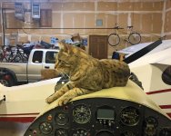 IMG_7477acS.jpg