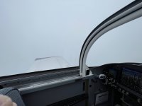 IMG_5021.jpg