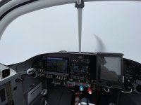 IMG_5018.jpg