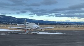 elk herd on airport - 1.jpeg